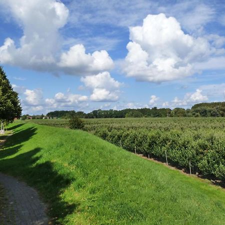 Fewo Im Alten Land Hamburg Ngoại thất bức ảnh