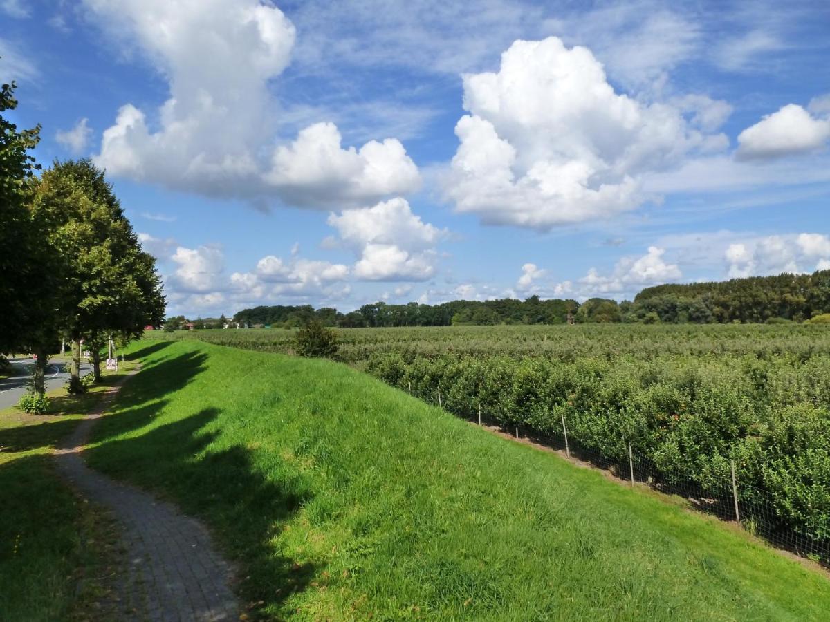 Fewo Im Alten Land Hamburg Ngoại thất bức ảnh